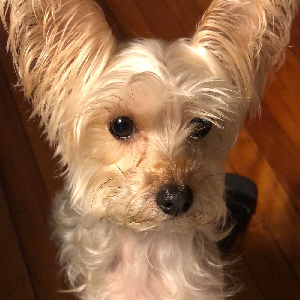 Meet your Posher, Miguel